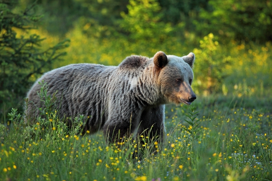 Srdiečko sa rozbúchalo.