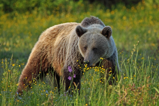 Keď sa strach a radosť miešajú.