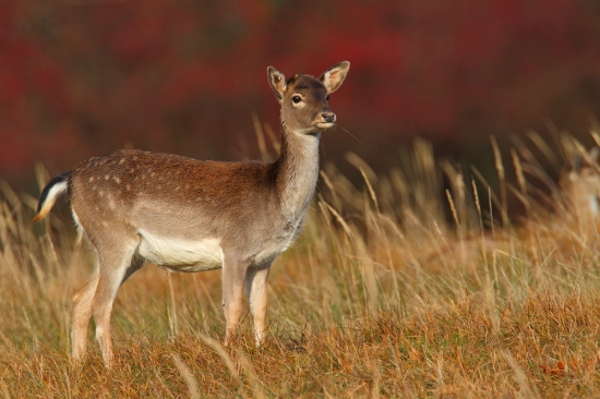 Slniečko maľovalo.