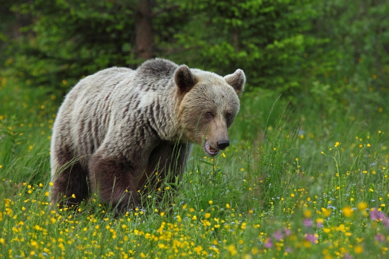 Nenápadne poškuloval.