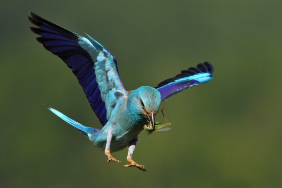 Niečo z leta tu lieta.