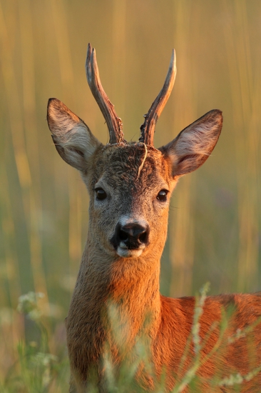 Na poslednom slniečku.