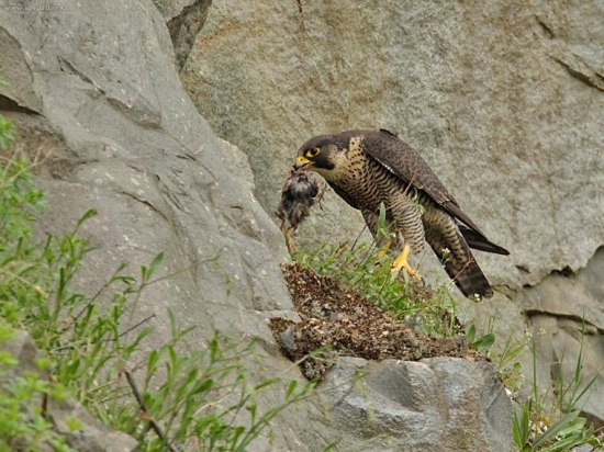 Môj vzácny úlovok