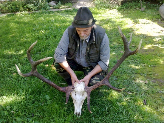 ruja 2010