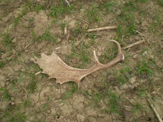 päť metrov od pár