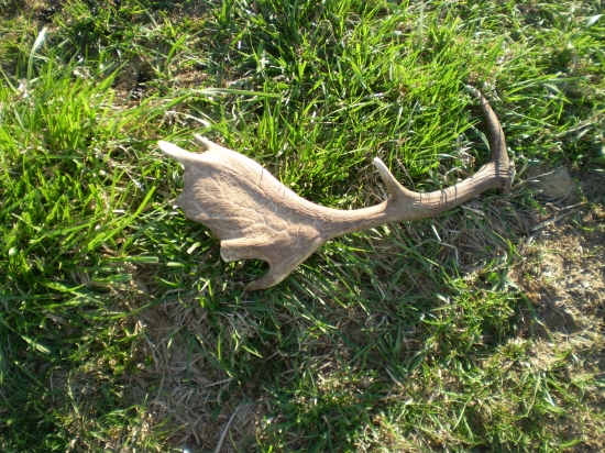 pravá - pár k lavej