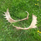 konečne sa zadarilo