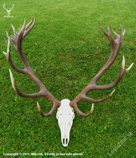 KRÁĽ