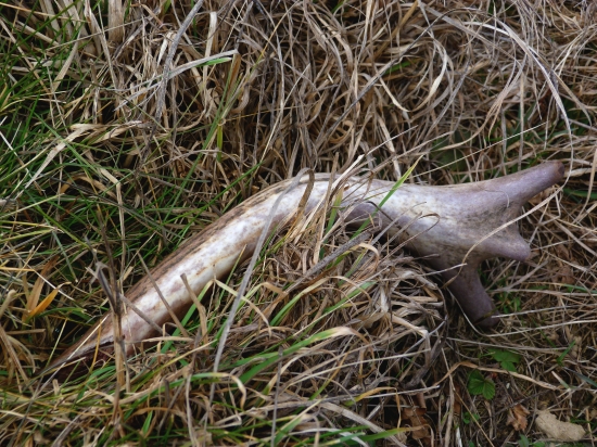 16 Km v nohách a toto v rukách