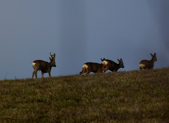 V posledných lúčoch