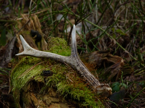 Šťastie sa už fakt unavilo ...