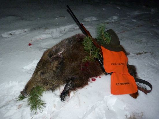 Predvianočné prasiatko