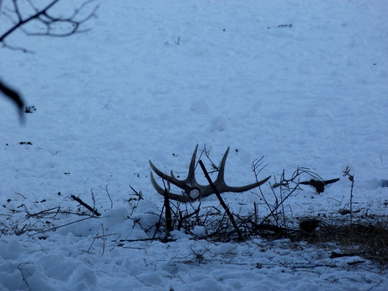 Prvý pohľad na nezaplatenie
