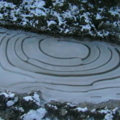 majster mráz v kaluži