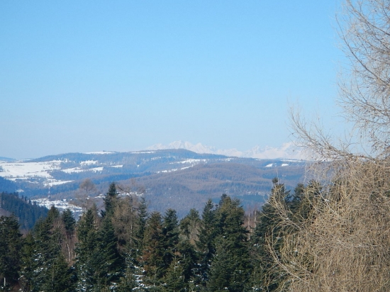 Strieborna