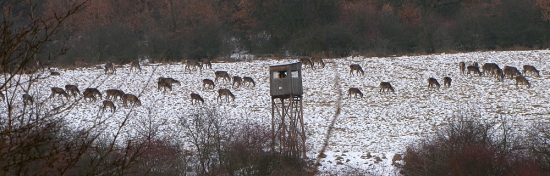Pár metrov od dediny