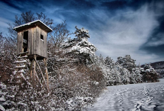 Všetkým účastníkom Lovuzdar prajem krásne vianoce