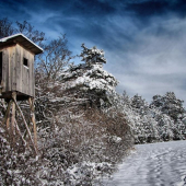 Všetkým účastníkom Lovuzdar prajem krásne vianoce
