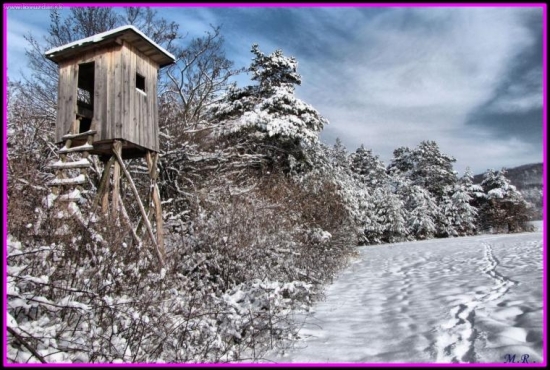 Posed na okraji lúk a polí-Zima