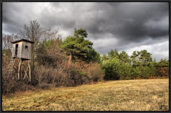 Posed na okraji lúk a polí-Jeseň
