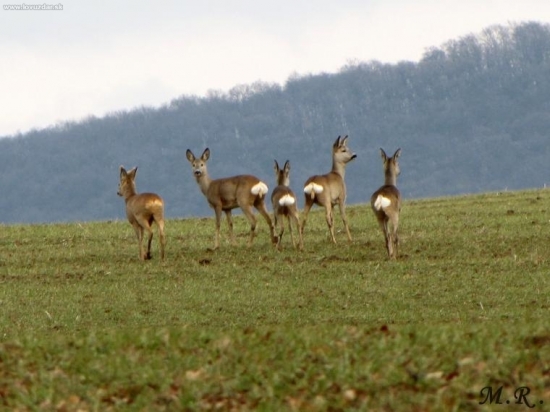 No čo baby-kade teraz?