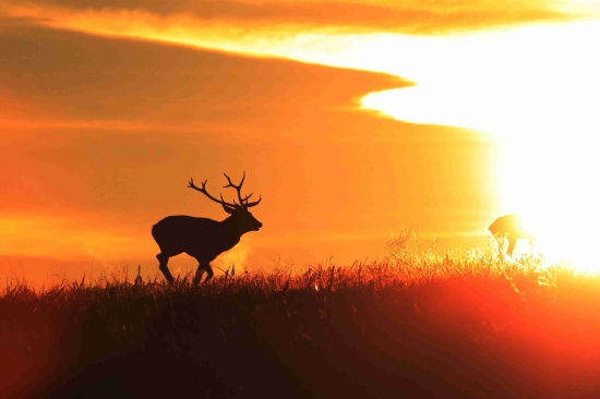 Do hviezdnej brány ...