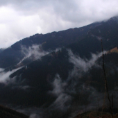 Upršaný novembrový deň