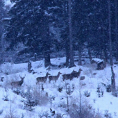 Ísť tadeto, alebo inokade ...?