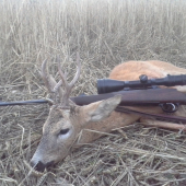 Srnec.věk.3 roky váha 15kg