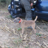 JDE SE NA TO..................