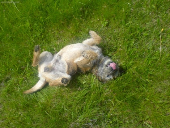 Podrbej mě...........