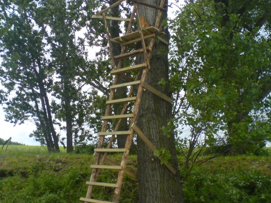 Další přírustek.............