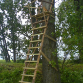 Další přírustek.............