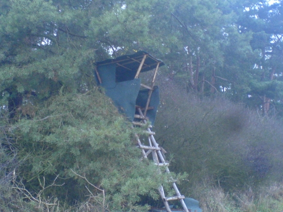 .......................