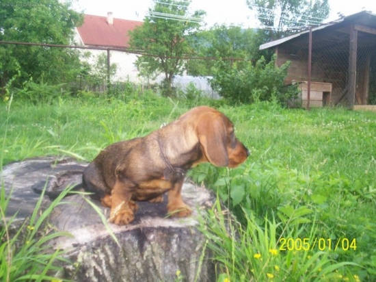 kukulienka:)