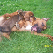 Ja sa ťa nebojím..