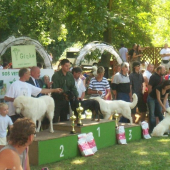 Kopov-vytaz narodnych plemien