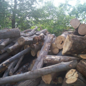 Hore vysla,ale dole uz nevedela:)