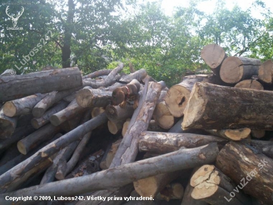 Hore vysla,ale dole uz nevedela:)