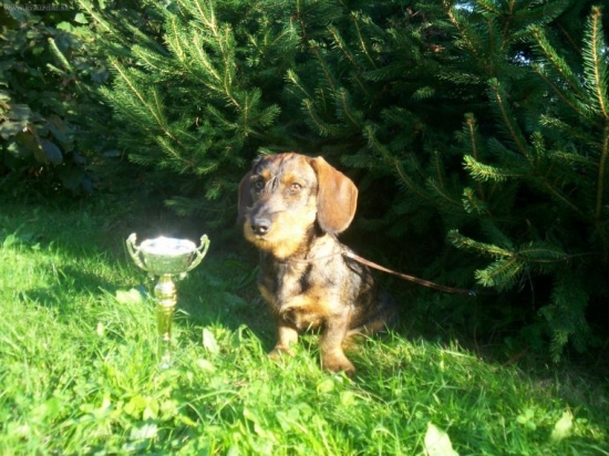 NVP-Presov Najkrajsie stena vystavy: 3.miesto:)