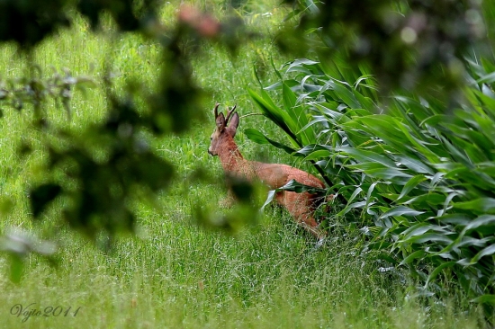 starec furt ma prekabatil :-)