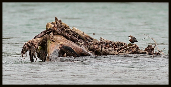 odpocivadlo pre vodnarov