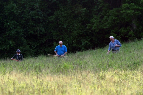 Hladanie srnciat pred kosbou.