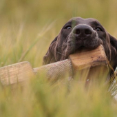 Una z Potônskej lúky