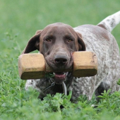 Una z Potônskej lúky