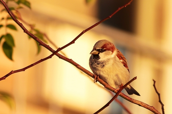 skuska canon7D