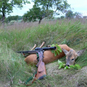 I.v.t.(pod marhuľami)