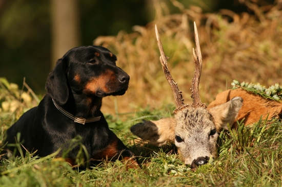 septembrová III.v.t a najvernejšia slečna