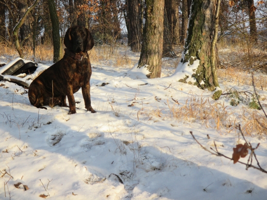 Bary z Borečského lesa 8 měsíců