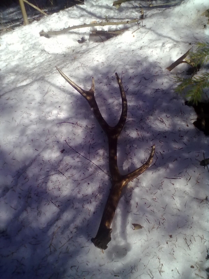 moj dalši do zbierky